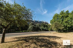 77287 31463447 IMG 12 0000.jpeg