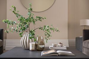 242960 RX159842 IMG 34 0000.jpeg