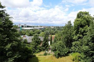 72698 WIM220135 IMG 11 0000.jpeg