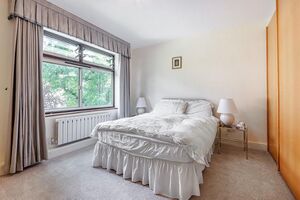 55534 2226846 IMG 13 0000.jpeg