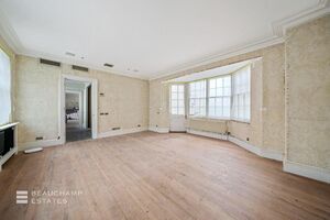 79099 6176149 IMG 04 0000.jpeg