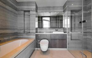 86681 SHP00287E IMG 16 0000.jpeg