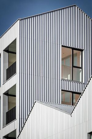 240599 Plot21 IMG 167 0000.jpeg