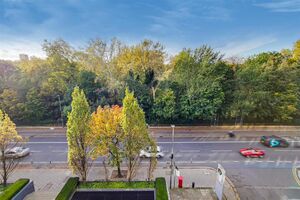 34265 X71419 1 IMG 13 0000.jpeg