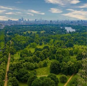 218600 615c1c84-bc54-4755-aab2-511e252937cd IMG 09 0000.jpeg