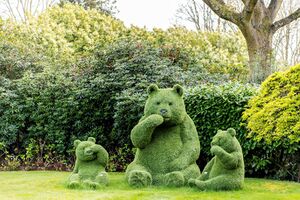 65806 HAM012148936 IMG 25 0000.jpeg