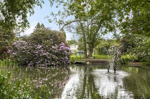 88409 HAW210081 IMG 30 0000.jpeg