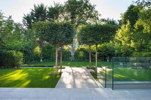 62080 LON200655 IMG 47 0000.jpeg