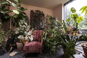 37916 ISL210506 IMG 37 0000.jpeg