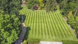 88409 HAW220085 IMG 43 0000.jpeg