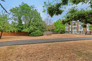 135596 31694731 IMG 16 0000.jpeg