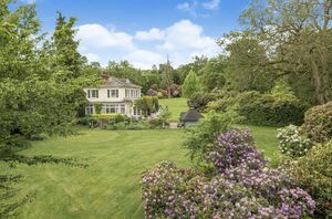 88409 HAW210081 IMG 18 0000.jpeg