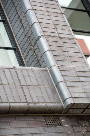 240599 Plot21 IMG 128 0000.jpeg