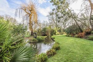 22317 TOT190204 IMG 06 0000.jpeg