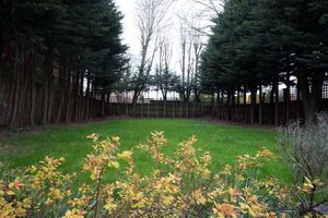 215642 RX180598 IMG 44 0000.jpeg