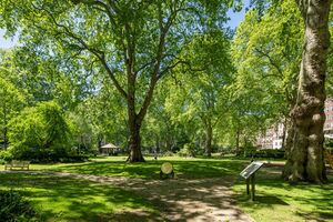 63077 MRY012098907 IMG 14 0000.jpeg