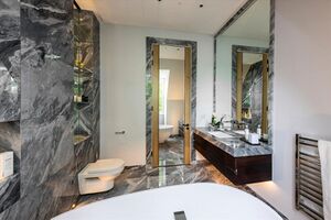 65806 HAM150199 IMG 22 0000.jpeg