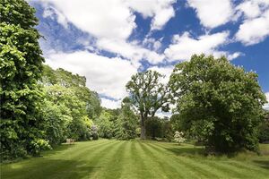 48934 KEH220088 IMG 21 0000.jpeg