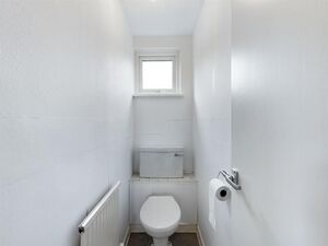 6225 31762227 IMG 13 0000.jpeg