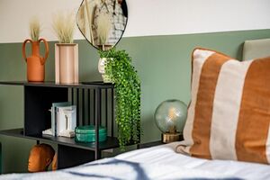 240599 Plot21 IMG 85 0000.jpeg