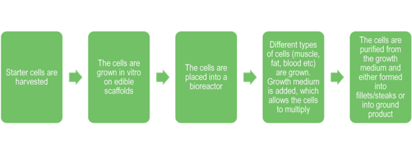 Cellular agriculture process.png