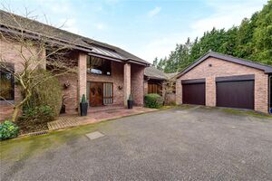 595 WHS220171 IMG 51 0000.jpeg