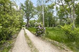 88409 HAW210081 IMG 25 0000.jpeg