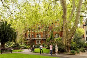 65815 WER012286800 IMG 02 0001.jpeg