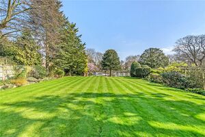 80826 RIS210206 IMG 11 0000.jpeg