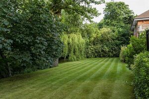 74440 31017466 IMG 14 0000.jpeg