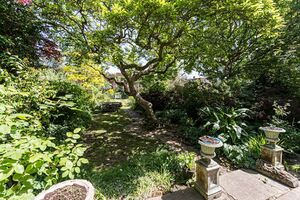 45393 ALA-62536230 IMG 03 0000.jpeg