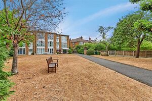 135596 31694731 IMG 15 0000.jpeg