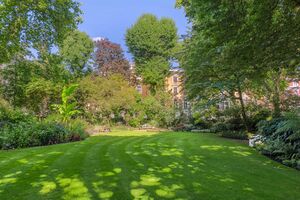 183887 62827c33b24a6 IMG 13 0000.jpeg