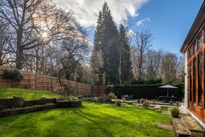 87916 HAM210290 IMG 19 0001.jpeg