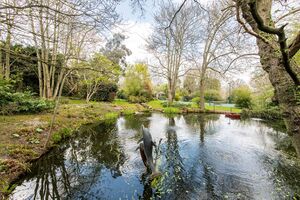 65806 HAM012148936 IMG 22 0000.jpeg